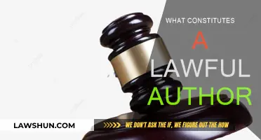 Understanding Lawful Authority: Defining Legitimate Power