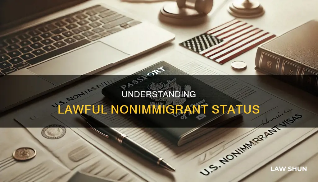 what constitutes a lawful nonimmigrant