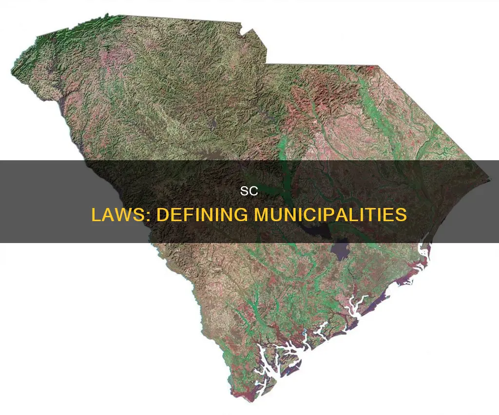 what constitutes a municipality under sc code of laws