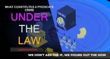 Understanding Predicate Crimes: What Are They?