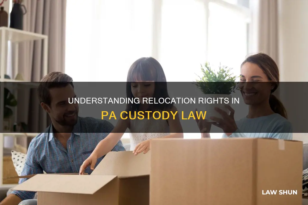 what constitutes a relocation under pa custody law