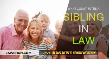 Defining Sibling Bonds: What Makes a Sibling-in-Law?