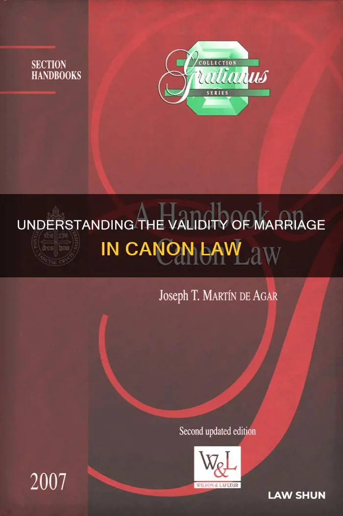 what constitutes a valid marruage code if canon law