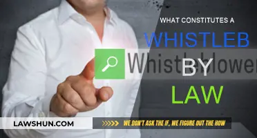 Whistleblower Law: Who Qualifies for Protection?