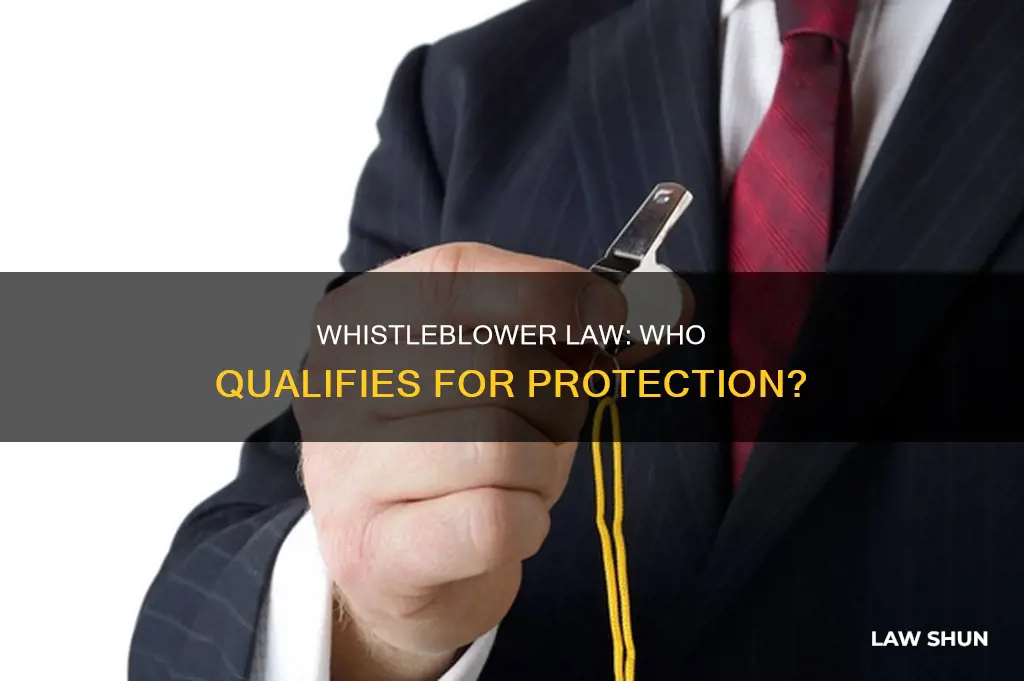 what constitutes a whistleblower by law