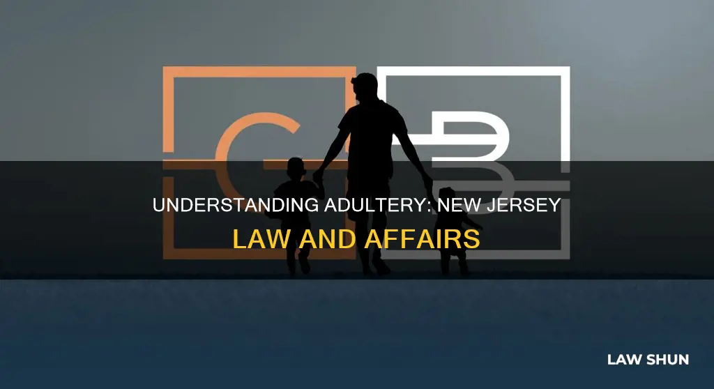 what constitutes an affair by law in nj