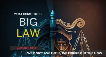 Big Law: What's the Definition?
