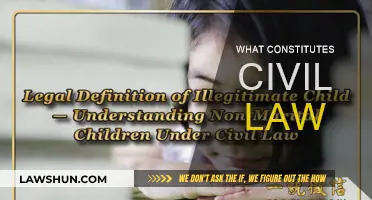 Civil Law: Understanding the Fundamentals