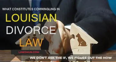 Louisiana Divorce Law: Understanding Commingling and Its Consequences