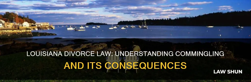 what constitutes commingling in louisiana divorce law