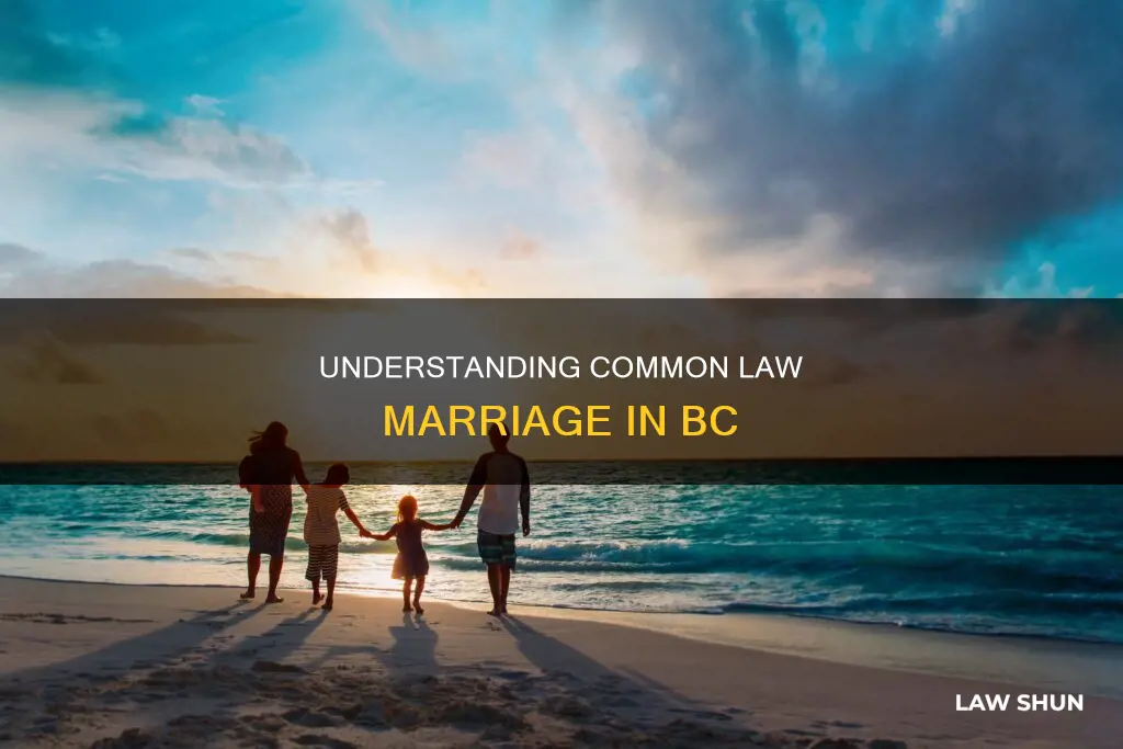 what constitutes common law marriage in bc
