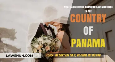 Panama's Common-Law Marriage Requirements