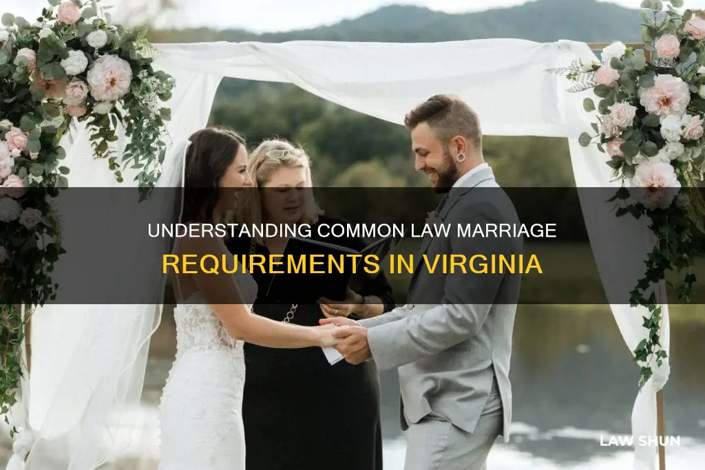 what constitutes common law marriage in virginia