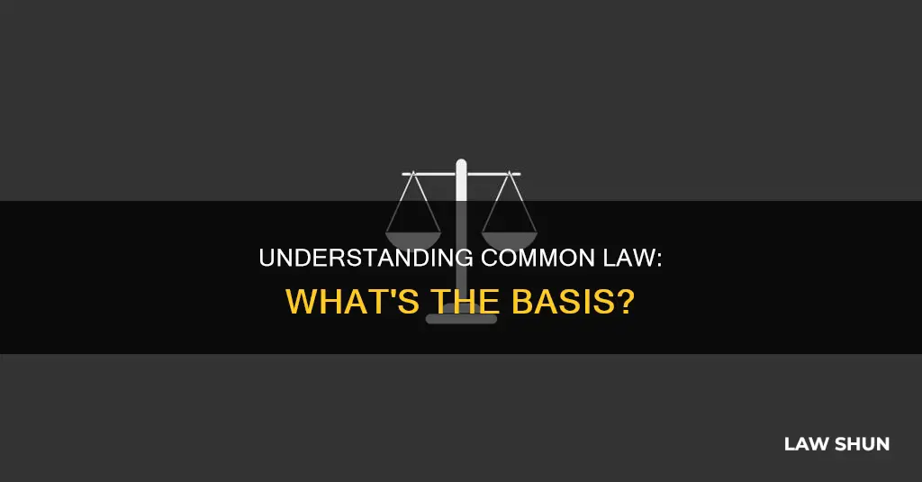 what constitutes common law