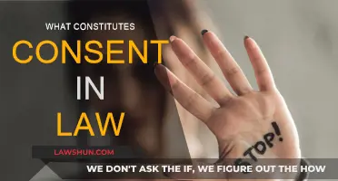 Consent in Law: Understanding the Definition and Parameters