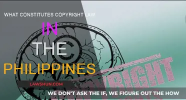 Philippine Copyright Law: Understanding the Basics