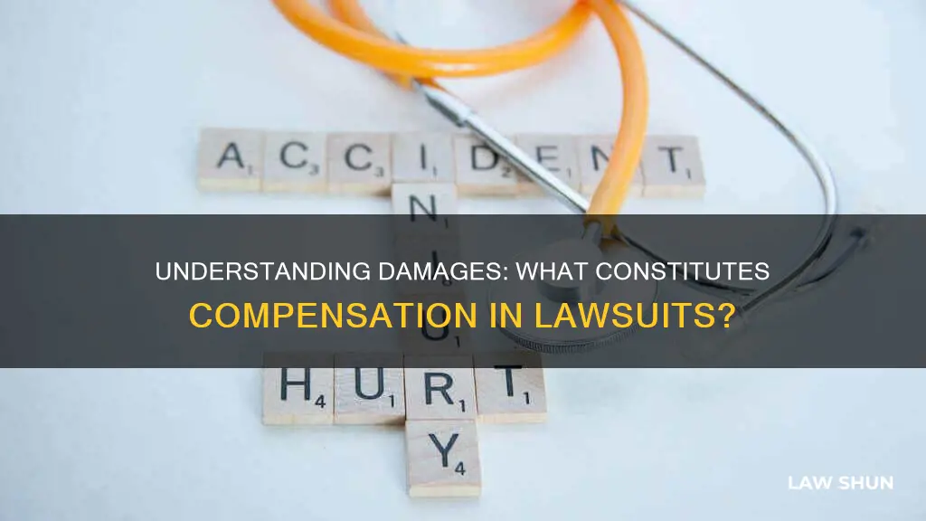 what constitutes damages in a law suit
