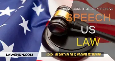 Expressive Speech: US Law's Protected Freedom