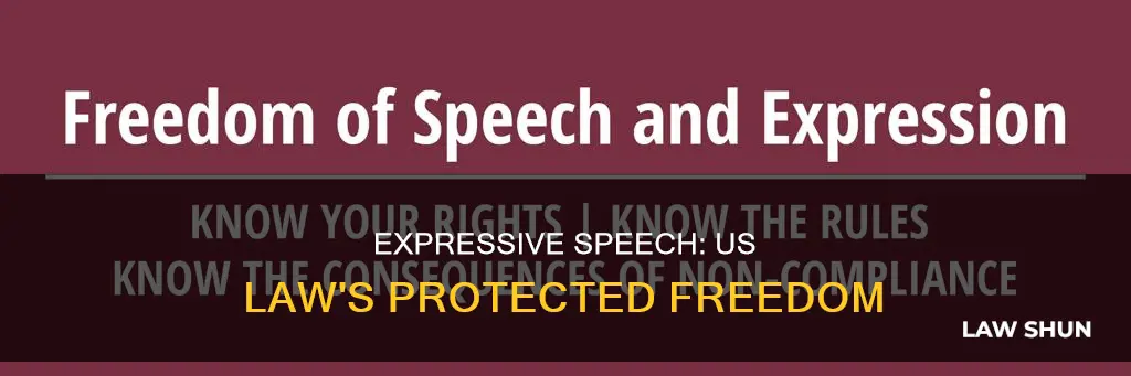 what constitutes expressive speech us law