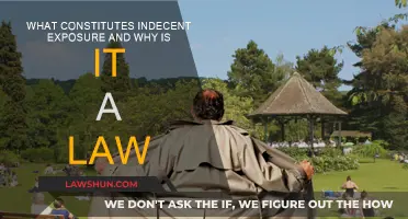 Indecent Exposure: Understanding the Law and Its Boundaries