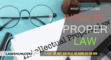 Understanding the Fundamentals of Intellectual Property Law