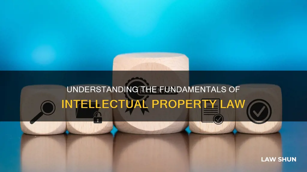 what constitutes intellectual property law