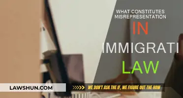 Misrepresentation in Immigration Law: Understanding the Basics