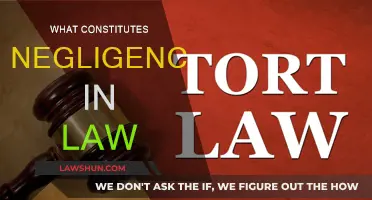 Understanding Negligence in Law: Key Principles Explained