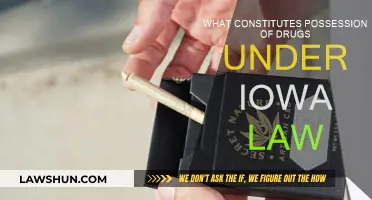 Iowa Drug Possession Laws: Understanding the Legal Definition