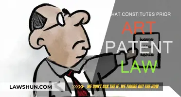Understanding Patent Law: Prior Art Definition