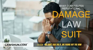 Reputation Damage: When Can You Sue?