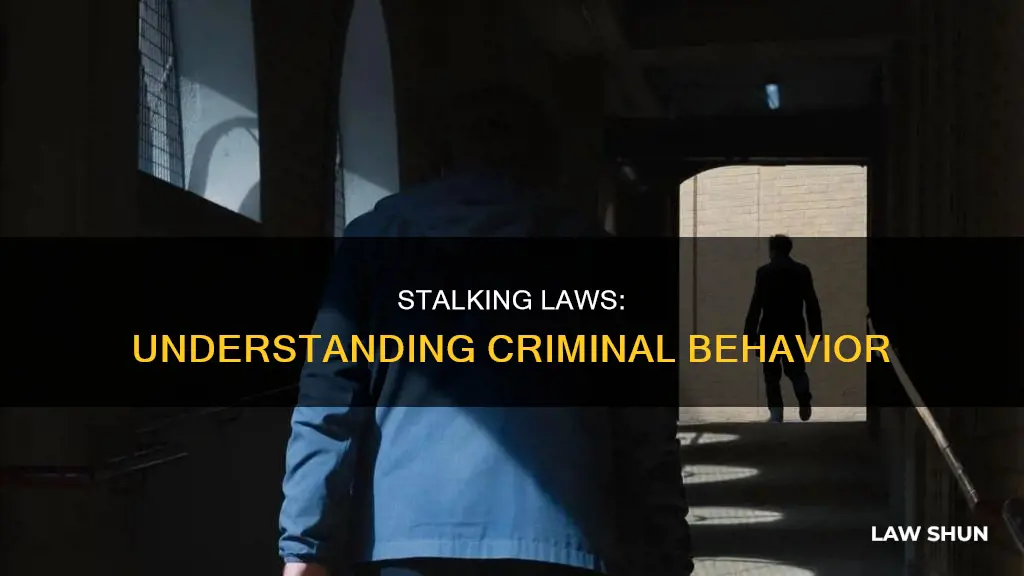what constitutes stalking by law