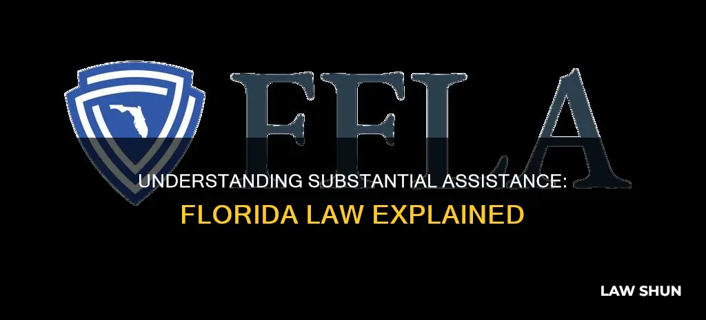 what constitutes substantial assistance under fl law