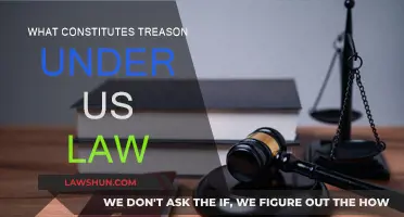 Treason's Legal Definition: US Law Explained