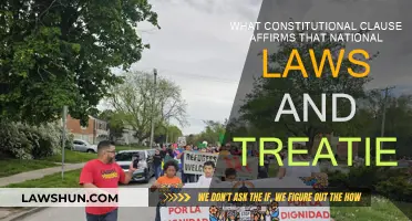 Understanding the Supremacy Clause: National Laws and Treaties