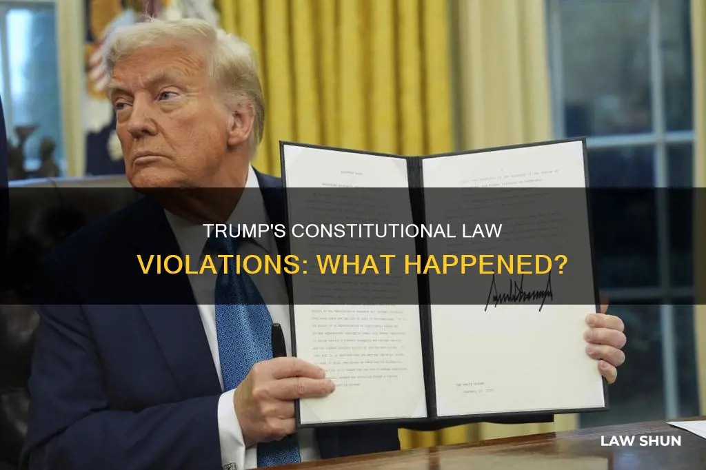 what constitutional law did trump break