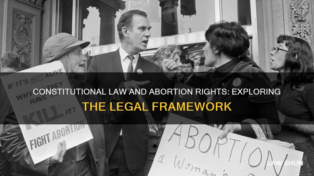 what constitutional law gives the right to abortion