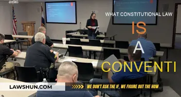 Constitutional Law: Conventions Explained