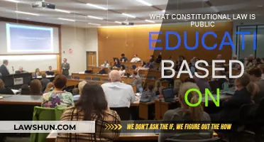 Education's Constitutional Basis: Understanding Public Schooling