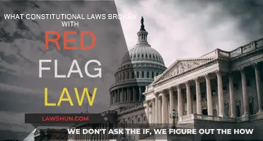 Red Flag Laws: Unconstitutional or Necessary?