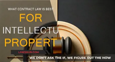 Protecting IP: Choosing the Right Contract Law