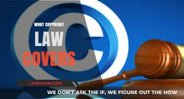 Understanding Copyright Law: What It Covers and Protects