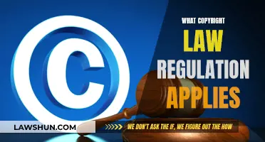 Copyright Law: Understanding Applicable Regulations and Rules