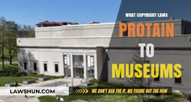 Understanding Copyright Laws and Their Impact on Museum Collections