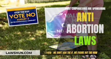 Who is Funding Anti-Abortion Laws?