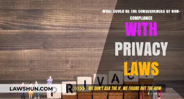 Non-Compliance with Privacy Laws: Risks, Penalties, and Business Impacts