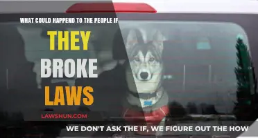 Breaking Laws: Consequences and Impact on Individuals and Society