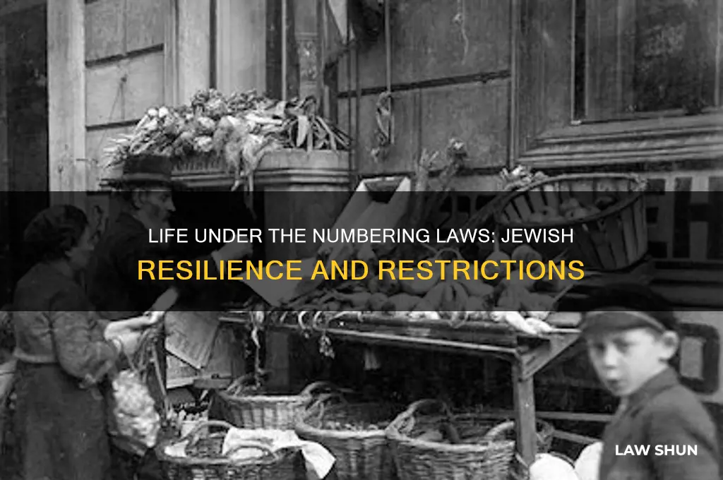 what could jewish people do under the numbering laws