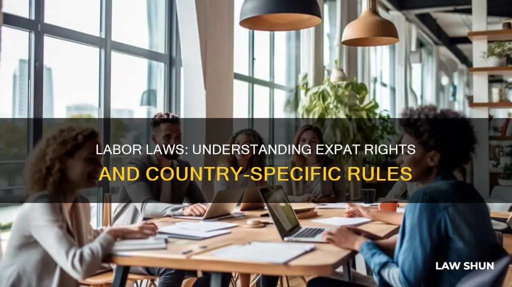 what countriea labor laws apply to expats