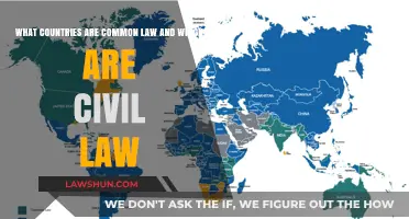 Laws Worldwide: Civil or Common?